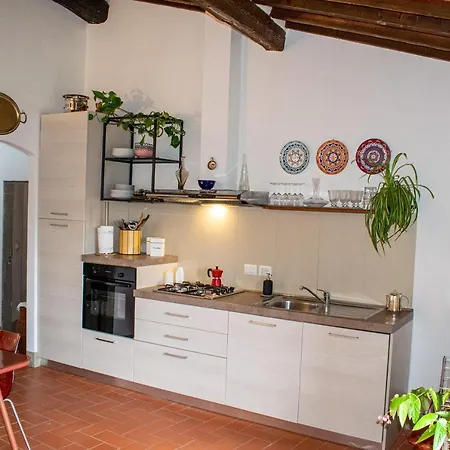 Bonaventura * غريفي ان شنتي